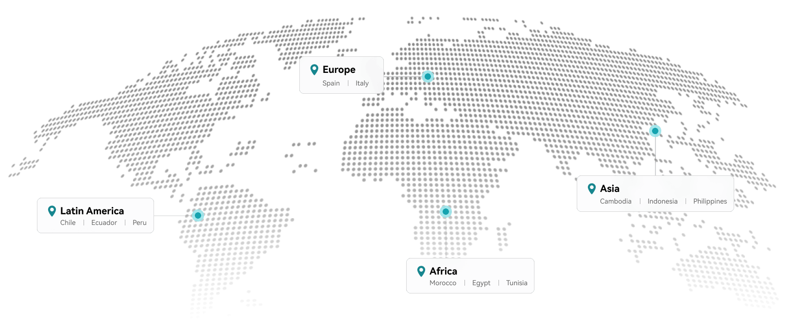 DFSK Global Network